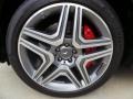  2014 ML 63 AMG Wheel