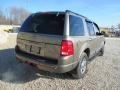 2002 Mineral Grey Metallic Ford Explorer Limited 4x4  photo #21