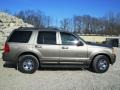 2002 Mineral Grey Metallic Ford Explorer Limited 4x4  photo #25