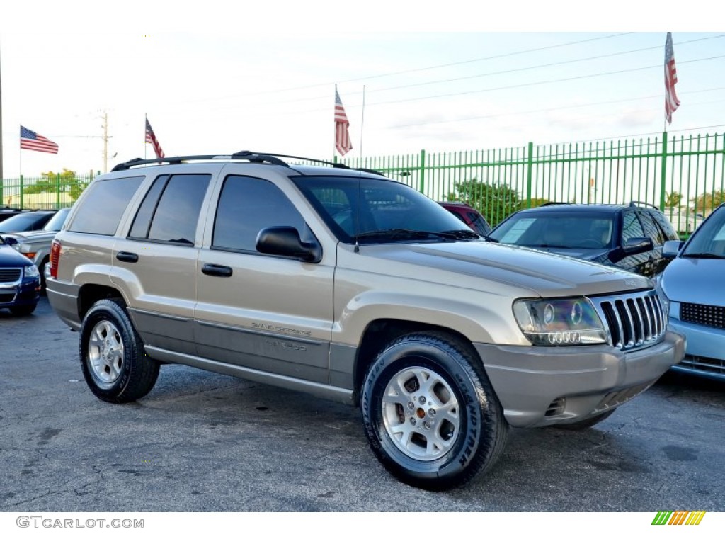 2000 Grand Cherokee Laredo - Champagne Pearlcoat / Camel photo #9