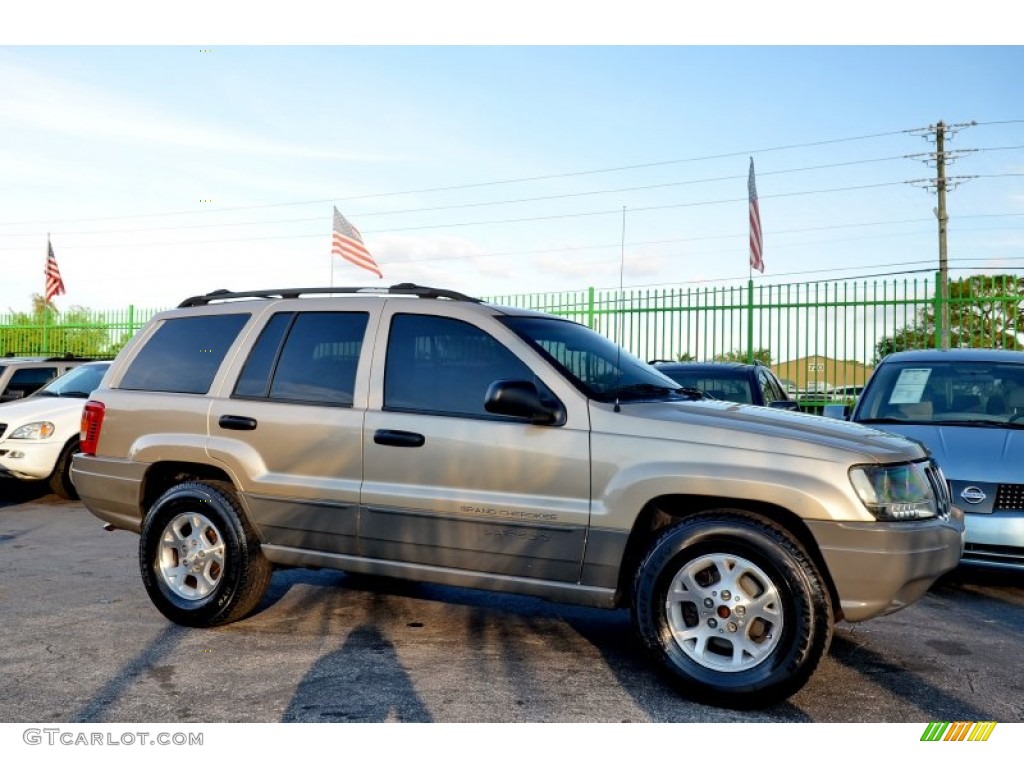 2000 Grand Cherokee Laredo - Champagne Pearlcoat / Camel photo #10