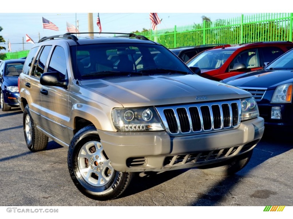 2000 Grand Cherokee Laredo - Champagne Pearlcoat / Camel photo #38