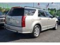 2006 Light Platinum Cadillac SRX V6  photo #29