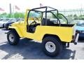 1976 Yellow Toyota Land Cruiser FJ40  photo #20