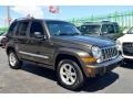 2006 Dark Khaki Pearl Jeep Liberty Limited 4x4  photo #4