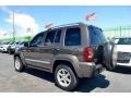 2006 Dark Khaki Pearl Jeep Liberty Limited 4x4  photo #58