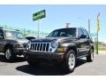 2006 Dark Khaki Pearl Jeep Liberty Limited 4x4  photo #64