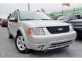 2006 Silver Birch Metallic Ford Freestyle Limited #100365235