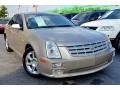 2005 Sand Storm Cadillac STS V8 #100365196