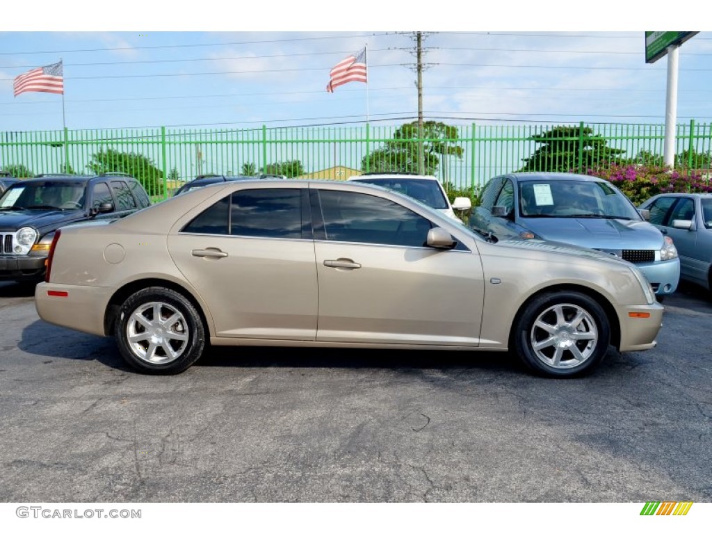 Sand Storm 2005 Cadillac STS V8 Exterior Photo #100380222