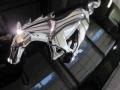 Magnetic Metallic - Mustang EcoBoost Coupe Photo No. 6