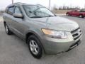 Platinum Sage 2007 Hyundai Santa Fe GLS 4WD