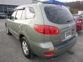 2007 Platinum Sage Hyundai Santa Fe GLS 4WD  photo #4