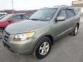 2007 Platinum Sage Hyundai Santa Fe GLS 4WD  photo #5