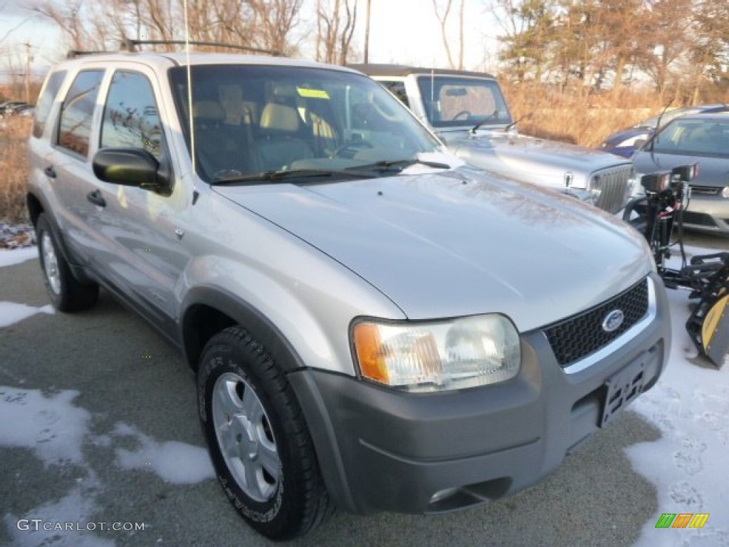 Satin Silver Metallic 2002 Ford Escape XLT V6 Exterior Photo #100423319