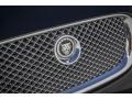 Ebony Black - XF Premium Luxury Photo No. 9