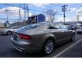 Savana Beige Pearl Effect - A7 3.0T quattro Premium Photo No. 4