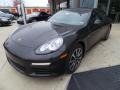 Carbon Grey Metallic - Panamera  Photo No. 3