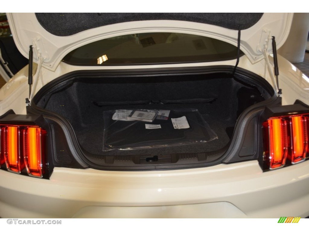 2015 Ford Mustang 50th Anniversary GT Coupe Trunk Photo #100471989