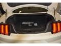 2015 Ford Mustang 50th Anniversary GT Coupe Trunk