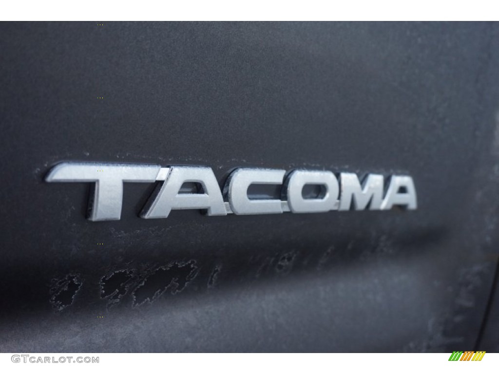 2012 Tacoma Access Cab - Magnetic Gray Mica / Graphite photo #19