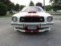 Polar White - Mustang II Cobra II Photo No. 2