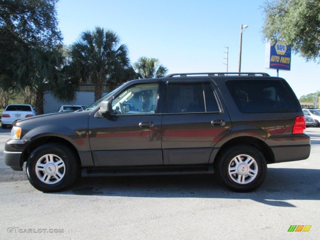 2005 Expedition XLT - Dark Shadow Grey Metallic / Medium Flint Grey photo #6