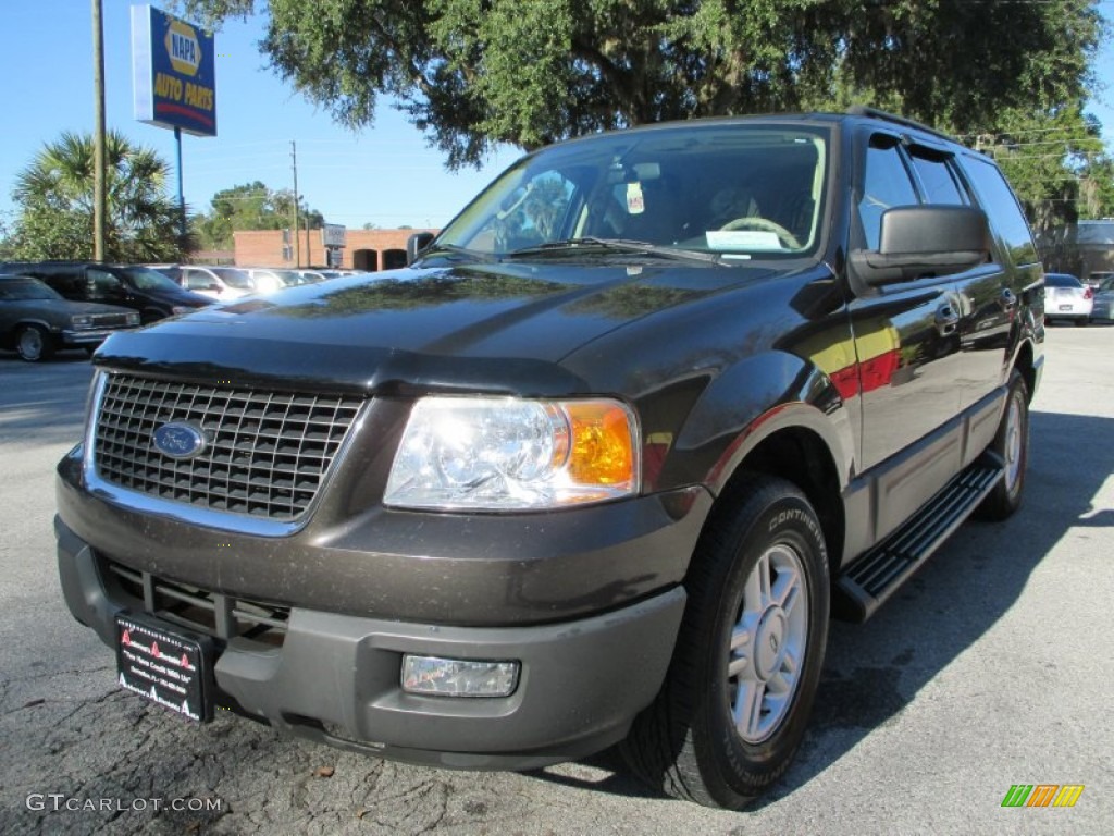 2005 Expedition XLT - Dark Shadow Grey Metallic / Medium Flint Grey photo #7