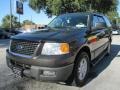 Dark Shadow Grey Metallic - Expedition XLT Photo No. 7