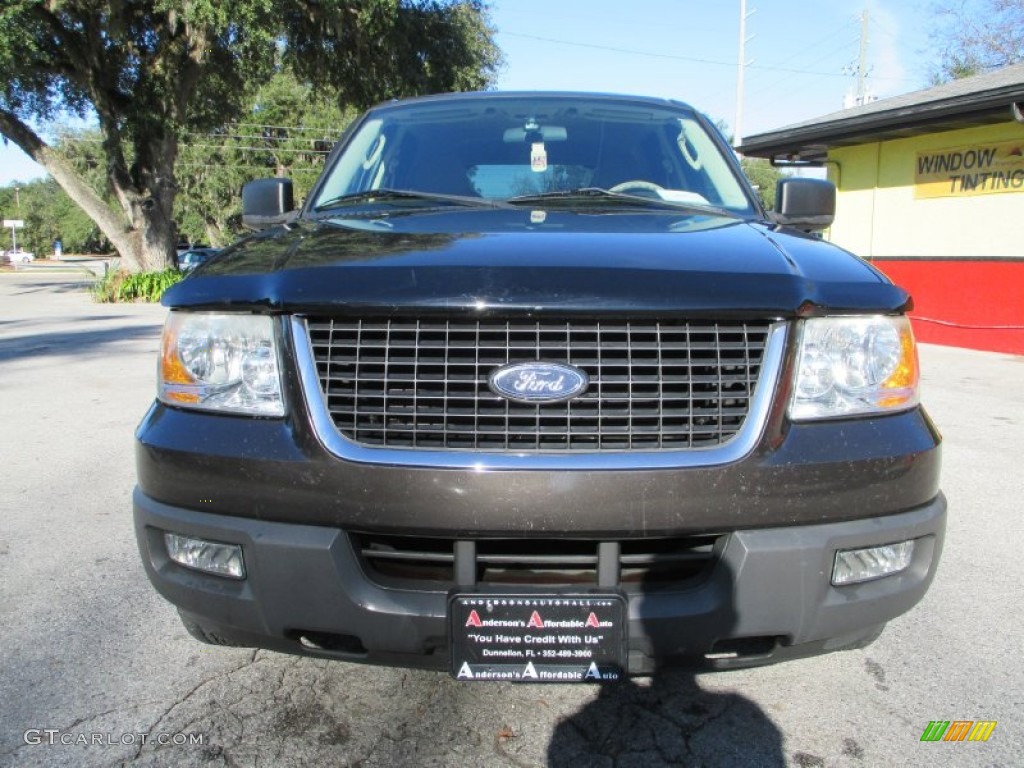2005 Expedition XLT - Dark Shadow Grey Metallic / Medium Flint Grey photo #8