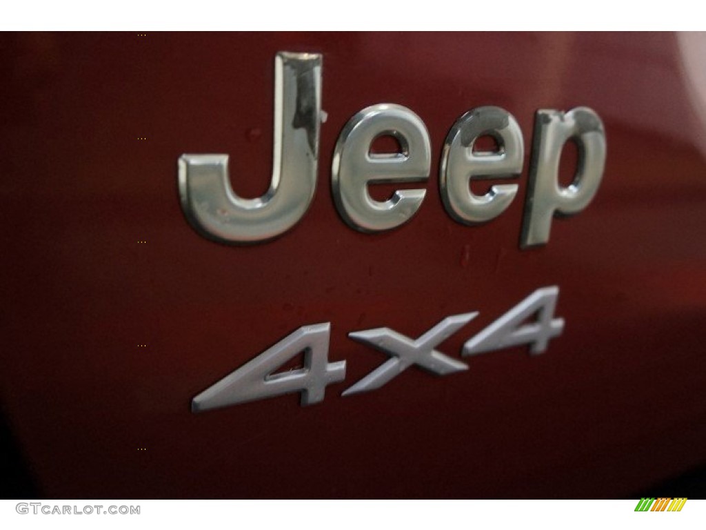 2004 Grand Cherokee Laredo 4x4 - Inferno Red Pearl / Dark Slate Gray photo #62