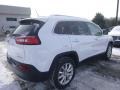 Bright White - Cherokee Limited 4x4 Photo No. 5