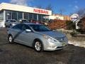 Radiant Silver - Sonata GLS Photo No. 1