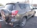 2012 Pyrite Mica Toyota RAV4 Limited 4WD  photo #2