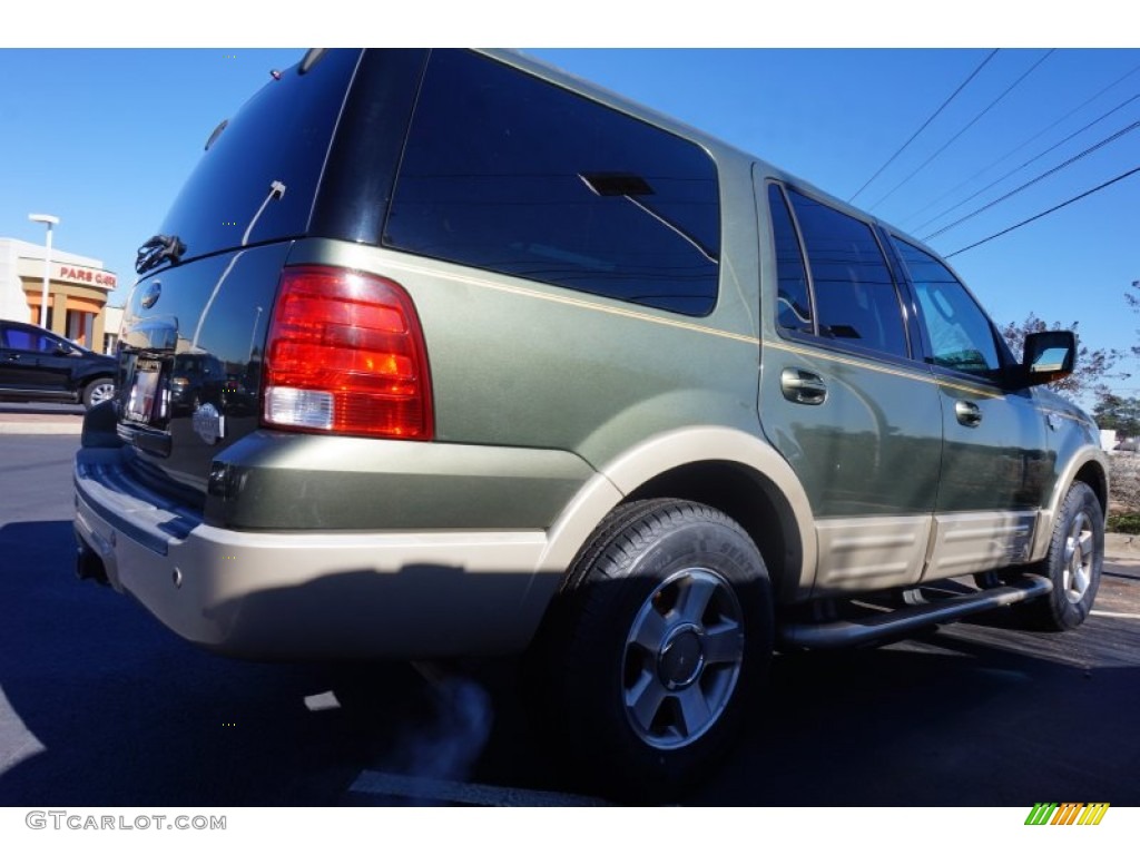 2005 Expedition King Ranch - Estate Green Metallic / Medium Parchment photo #3