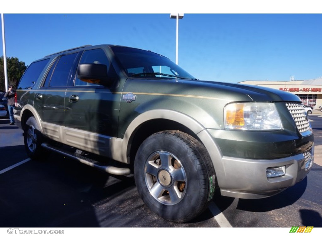 Estate Green Metallic 2005 Ford Expedition King Ranch Exterior Photo #100547330