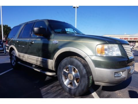 2005 Ford Expedition King Ranch Data, Info and Specs
