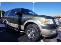 Estate Green Metallic 2005 Ford Expedition King Ranch Exterior