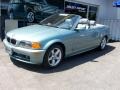 Grey Green Metallic 2003 BMW 3 Series 325i Convertible