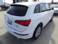 Ibis White - Q5 2.0 TFSI Premium quattro Photo No. 7