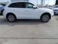 Ibis White - Q5 2.0 TFSI Premium quattro Photo No. 8