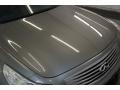 Liquid Platinum Metallic - G 35 x Sedan Photo No. 40