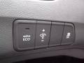 Titanium Gray Metallic - Elantra GLS Photo No. 11