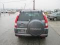 Pewter Pearl - CR-V Special Edition 4WD Photo No. 9