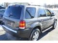 Dark Shadow Grey Metallic - Escape XLT V6 4WD Photo No. 6