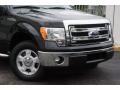 Tuxedo Black Metallic - F150 XLT SuperCab Photo No. 81