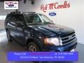 2015 Blue Jeans Metallic Ford Expedition XLT  photo #1
