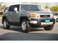 Titanium Metallic - FJ Cruiser  Photo No. 1