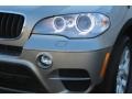 2012 Platinum Bronze Metallic BMW X5 xDrive35i Premium  photo #33