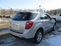 Champagne Silver Metallic - Equinox LS AWD Photo No. 6